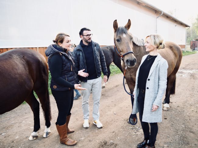 Pferdgestuetztes Coaching by Franziska Koehler